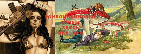 ешки Белоозёрский