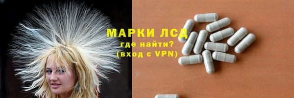 эйфоретик Богданович