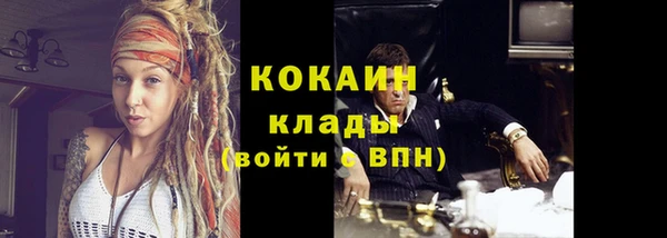 эйфоретик Богданович