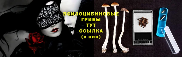 дмт Богородск