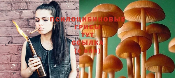 эйфоретик Богданович