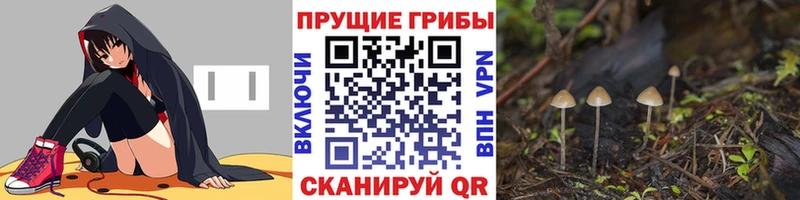Галлюциногенные грибы прущие грибы  Шиханы 